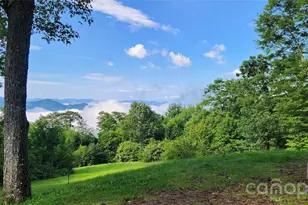 2222 Greenspire Dr, Sylva, NC 28779 - Photo 39