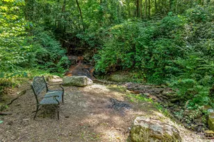 163 Northern Lights Ln, Hendersonville, NC 28739 - Photo 45