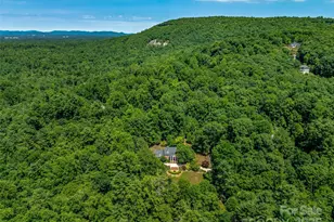 163 Northern Lights Ln, Hendersonville, NC 28739 - Photo 3