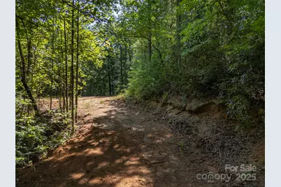 1084 Old Howard Gap Road, Saluda, NC 28773 - Photo 45