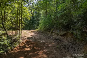 1084 Old Howard Gap Rd, Saluda, NC 28773 - Photo 45