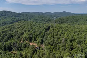 1084 Old Howard Gap Rd, Saluda, NC 28773 - Photo 13