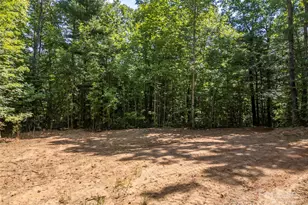 1084 Old Howard Gap Rd, Saluda, NC 28773 - Photo 47