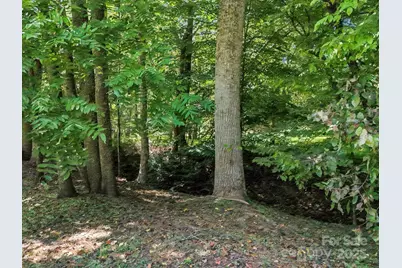 282 Reagan Lane, Bostic, NC 28018 - Photo 29