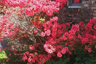 145 Appalachian Dr, Burnsville, NC 28714 - Photo 39