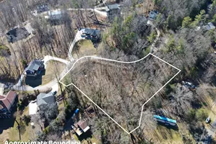 31 Forest Spring Dr, Asheville, NC 28804 - Photo 1