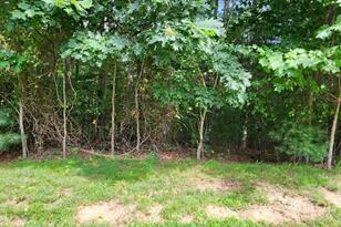 00000 Barebridge Dr, Burnsville, NC 28714 - Photo 13