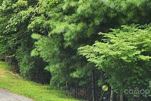 00000 Barebridge Dr, Burnsville, NC 28714 - Photo 15