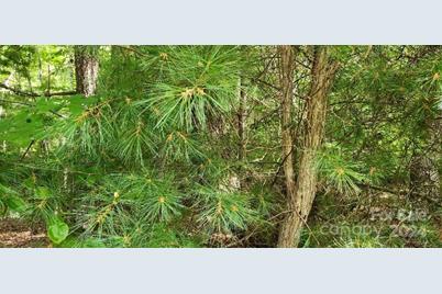 00000 Barebridge Drive #9, Burnsville, NC 28714 - Photo 7