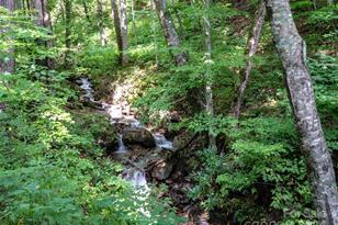 1001 Mountain Glen Rd, Canton, NC 28716 - Photo 39