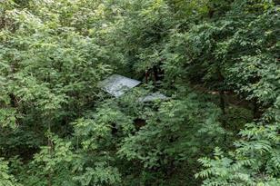 1001 Mountain Glen Rd, Canton, NC 28716 - Photo 5