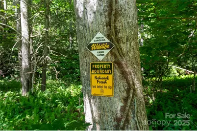 1220 Rock Creek Road, Burnsville, NC 28714 - Photo 5