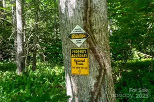 1220 Rock Creek Rd, Burnsville, NC 28714 - Photo 5