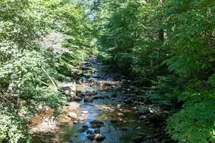 1220 Rock Creek Rd, Burnsville, NC 28714 - Photo 9