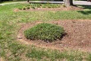 432 E Magnolia Rd, North Wilkesboro, NC 28659 - Photo 21