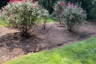 432 E Magnolia Rd, North Wilkesboro, NC 28659 - Photo 23