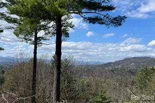 2902 Timber Trail, Asheville, NC 28804 - Photo 19