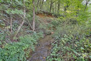 5407 Gerton Hwy, Gerton, NC 28735 - Photo 37