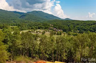 2015 Deep Gap Farm Road W, Mill Spring, NC 28756 - Photo 41