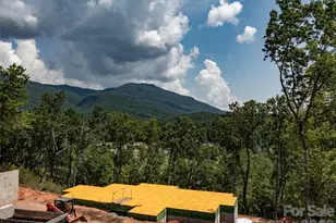 2015 Deep Gap Farm Road W, Mill Spring, NC 28756 - Photo 39