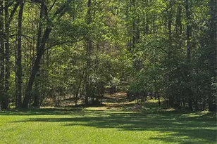 1104 Old Hwy 60 Hwy, Wilkesboro, NC 28697 - Photo 23