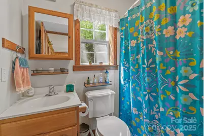 1778 and 1780 Happy Acres Road, Brevard, SC 28712 - Photo 37