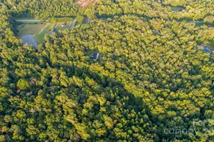 9224 Maggie Robinson Rd, Waxhaw, NC 28173 - Photo 11