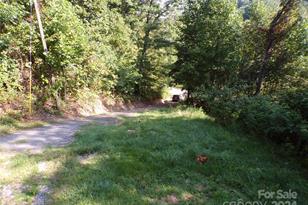 4 Mayapple Ln, Canton, NC 28716 - Photo 9