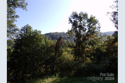 4 Mayapple Lane, Canton, NC 28716 - Photo 3