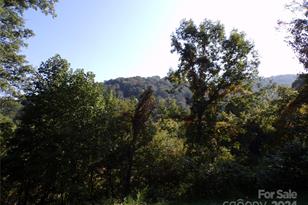 4 Mayapple Ln, Canton, NC 28716 - Photo 3