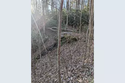 1605 Golden Road, Lake Toxaway, NC 28747 - Photo 15