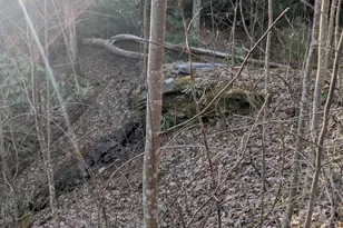 1605 Golden Rd, Lake Toxaway, NC 28747 - Photo 15