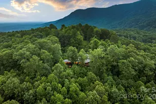 130 Piney Rdg Ln, Saluda, NC 28773 - Photo 47