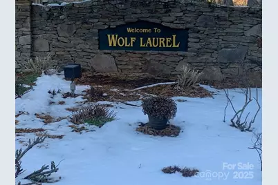 326 Hamlin Lane #57, Mars Hill, NC 28754 - Photo 11