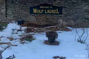 326 Hamlin Ln, Mars Hill, NC 28754 - Photo 11