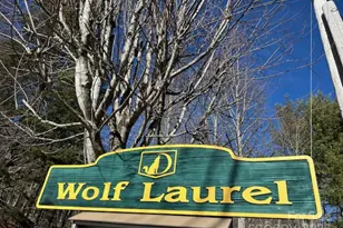 326 Hamlin Ln, Mars Hill, NC 28754 - Photo 7