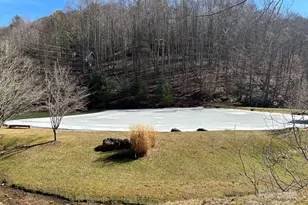 337 Hamlin Ln, Mars Hill, NC 28754 - Photo 3