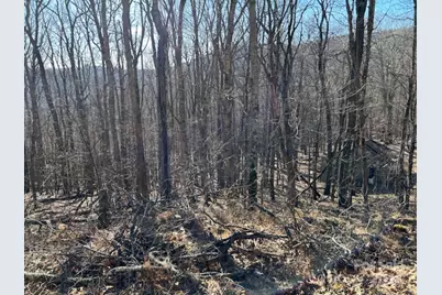 337 Hamlin Lane #96, Mars Hill, NC 28754 - Photo 1