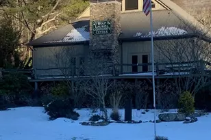 337 Hamlin Ln, Mars Hill, NC 28754 - Photo 9