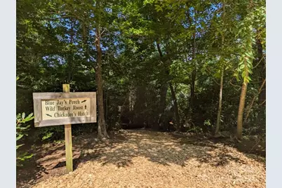 5 Chaucer Road, Black Mountain, NC 28711 - Photo 5