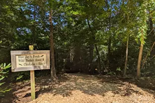 5 Chaucer Rd, Black Mountain, NC 28711 - Photo 5