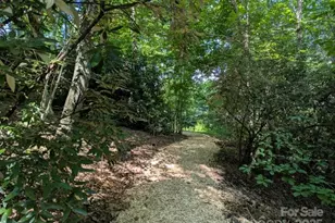 5 Chaucer Rd, Black Mountain, NC 28711 - Photo 7