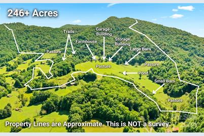 840 Ed Williams Road, Zionville, NC 28698 - Photo 3