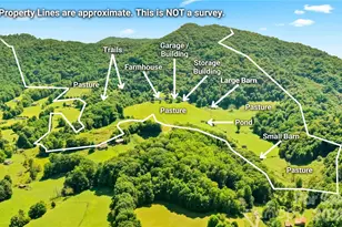 840 Ed Williams Rd, Zionville, NC 28698 - Photo 3