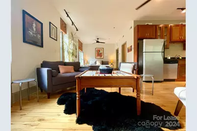 5 W Walnut Street #201, Asheville, NC 28801 - Photo 9