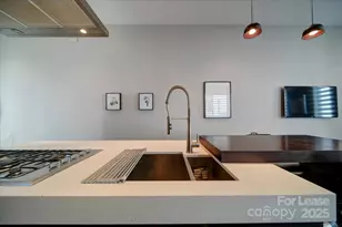 329 Viburnum Way Ct, Charlotte, NC 28208 - Photo 7