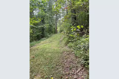 99999 Monticello Road, Weaverville, NC 28787 - Photo 5