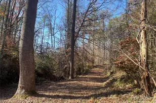 99999 Monticello Rd, Weaverville, NC 28787 - Photo 1