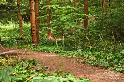 108 Lakewood Drive, Asheville, NC 28803 - Photo 41