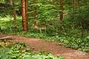 108 Lakewood Dr, Asheville, NC 28803 - Photo 41